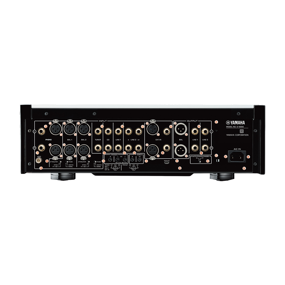 Yamaha C5000_Back