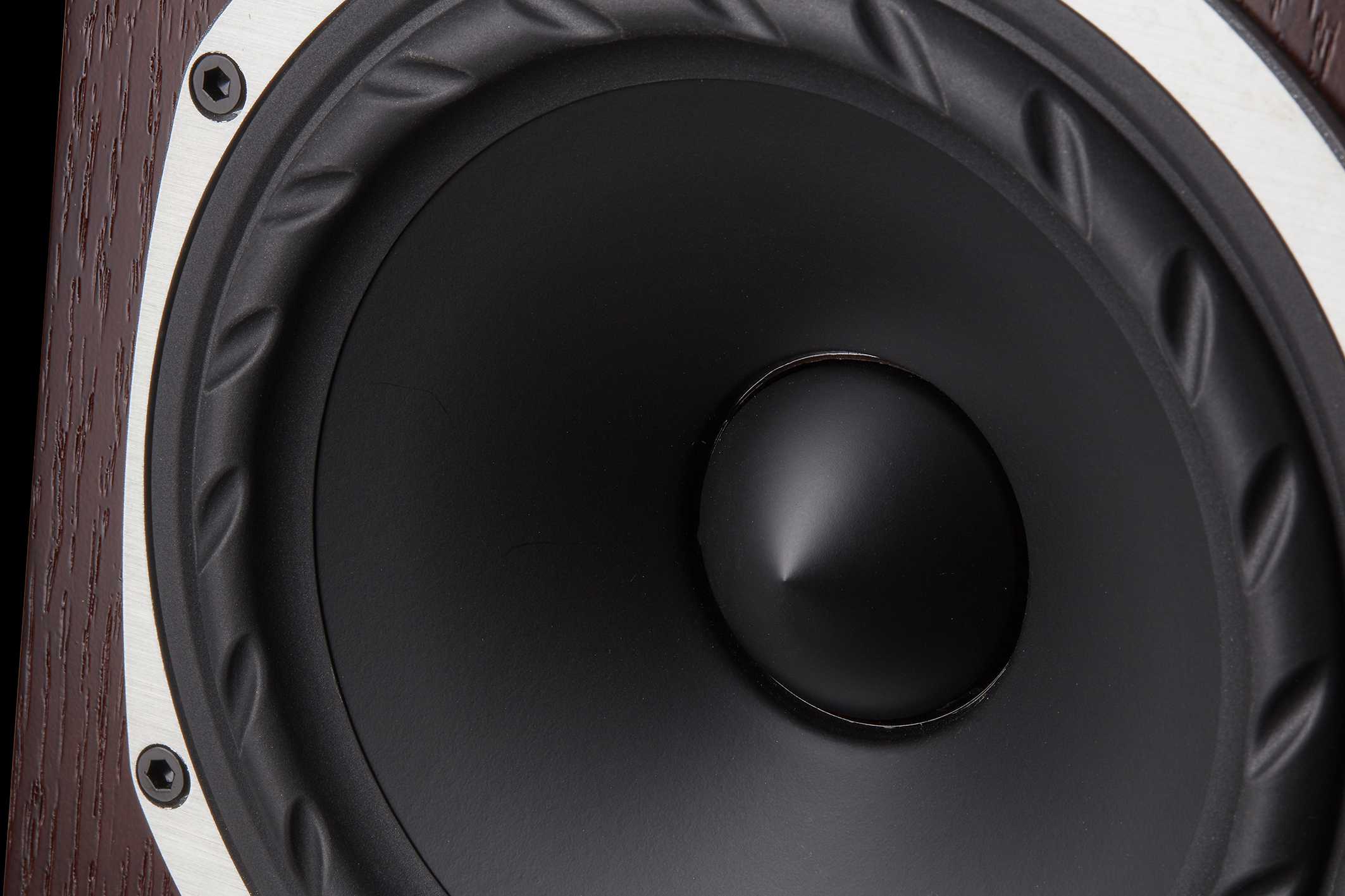 Low-Frequency-driver-detail