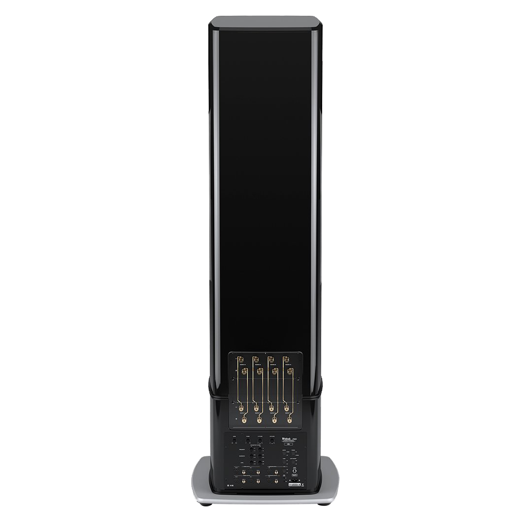 PS2K Back