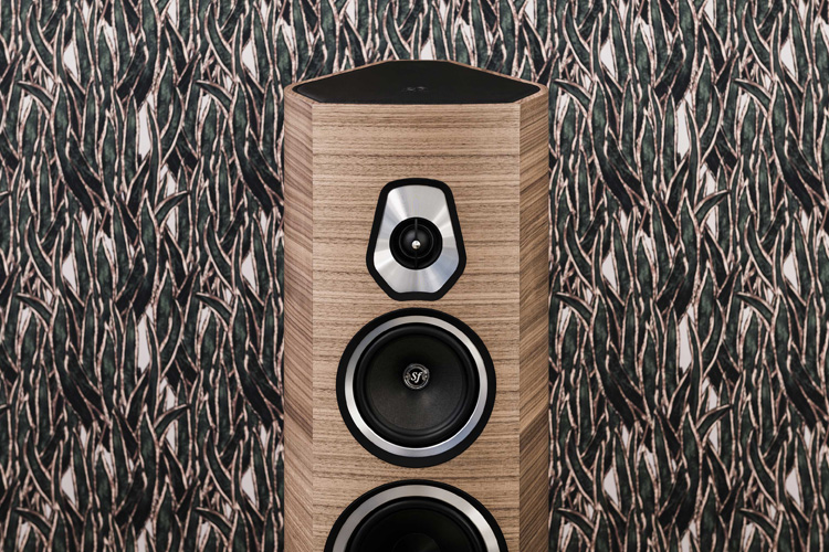 sonetto-VIII_t1