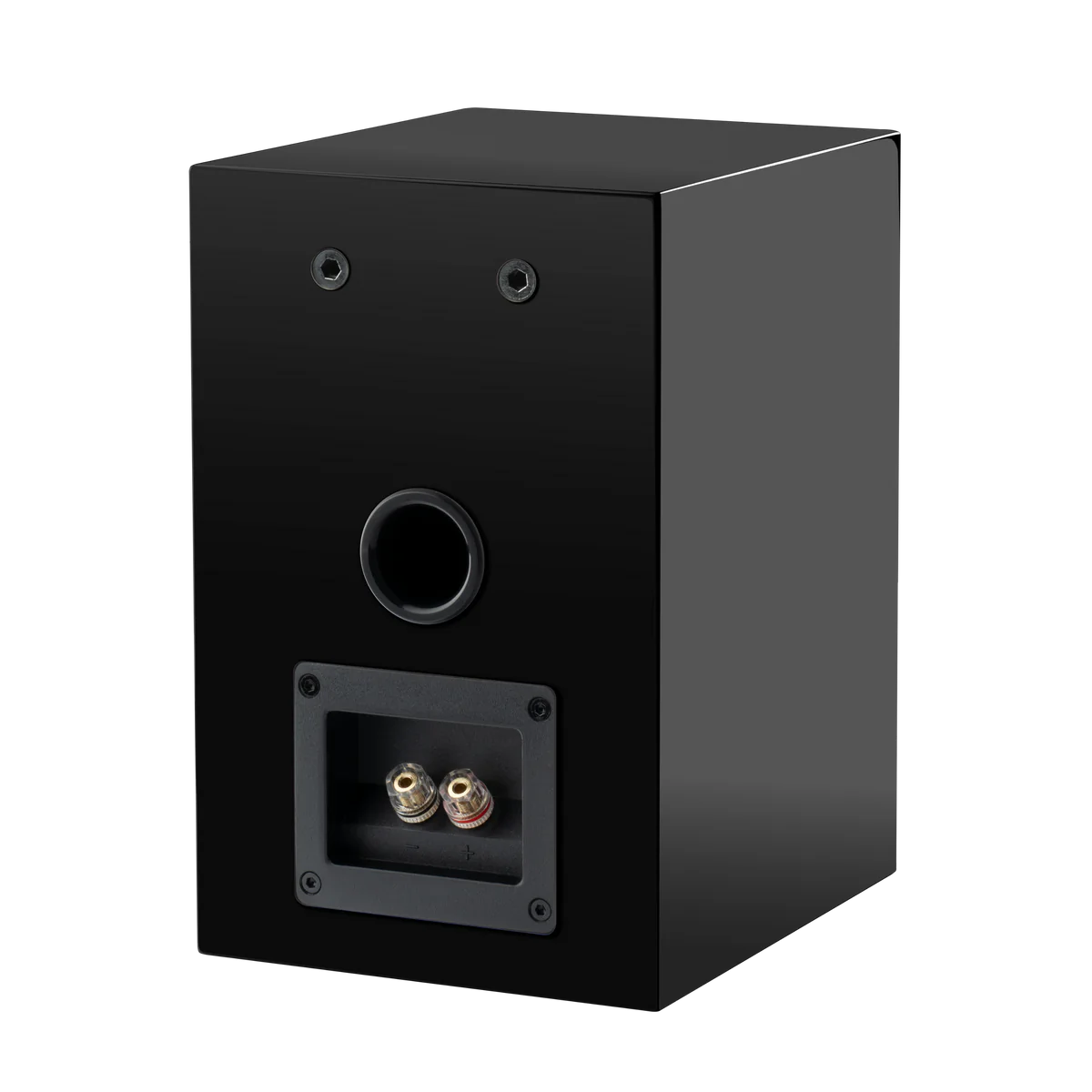 SpeakerBox5E-Rear_1200x1200