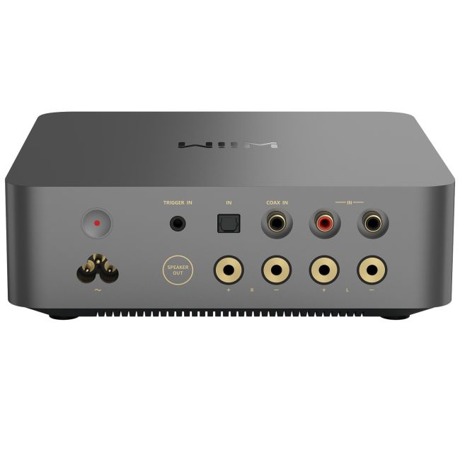 wiim-vibelink-amp-spgy-lg-04_1__1