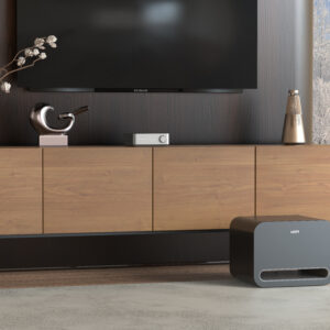 Product Image 3, WiiM Sub Pro