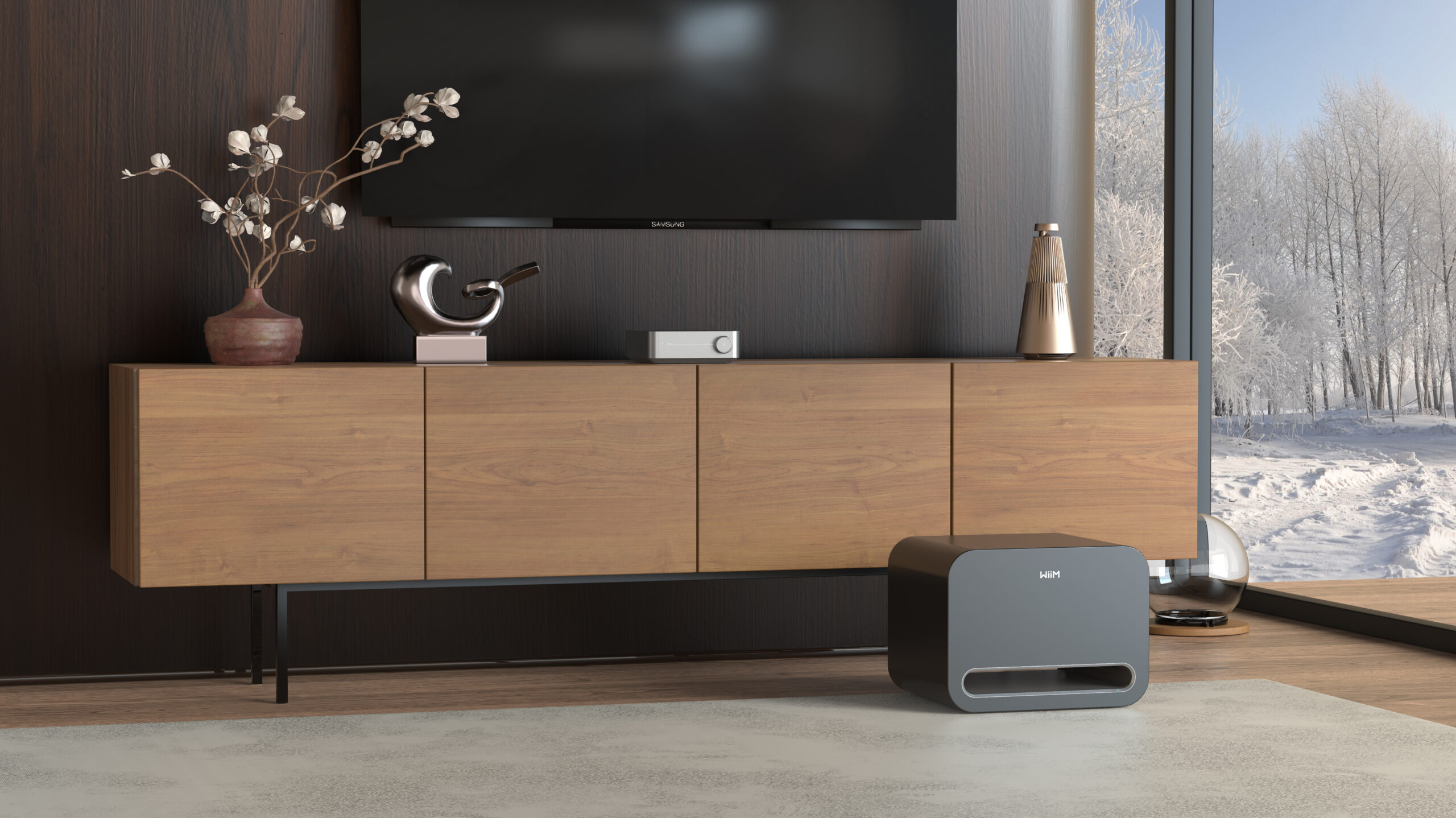 Product Image 3, WiiM Sub Pro