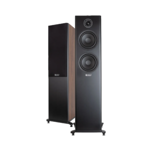 Richter Wizard Series 6Plus Floorstanding Loudspeakers Walnut