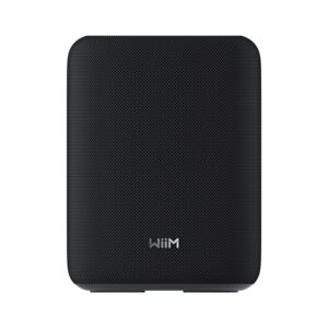 WiiM Sound Lite Smart Speaker