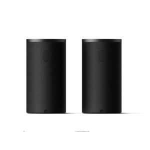 Sony SARS9 Bravia Theatre Wireless Rear Speakers