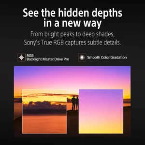 50099495_1066305